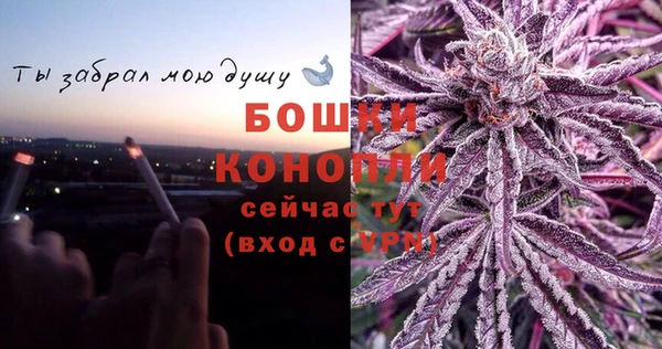 крисы Горно-Алтайск