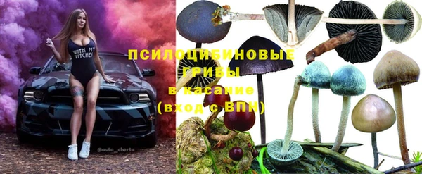 крисы Горно-Алтайск