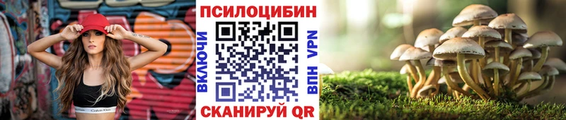 что такое наркотик  Изобильный  Псилоцибиновые грибы GOLDEN TEACHER 