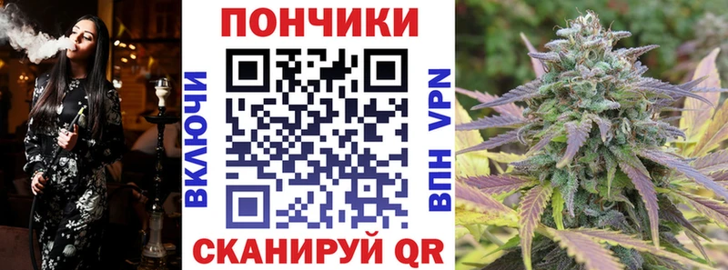 Канабис Bruce Banner  ОМГ ОМГ онион  Изобильный 